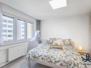Prodej bytu 3+1, Mladá Boleslav, Palackého, 72 m2