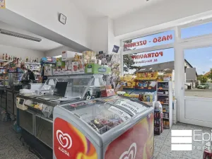 Prodej rodinného domu, Tišice, Okružní, 530 m2