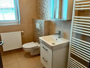 Pronájem bytu 1+kk, Trhové Sviny, Za Pilou, 40 m2