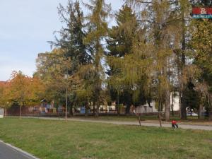 Pronájem bytu 1+kk, Praha - Hloubětín, Milovická, 20 m2