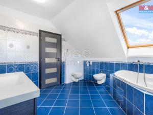 Prodej rodinného domu, Velké Přílepy, Emy Destinnové, 217 m2