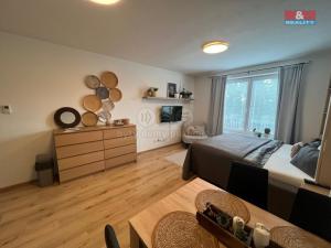 Pronájem bytu 1+kk, Plzeň - Valcha, Špačková, 32 m2