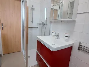 Pronájem bytu 1+kk, Brno, Botanická, 32 m2