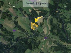 Prodej lesa, Cotkytle, 83993 m2