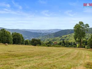 Prodej rodinného domu, Jáchymov - Nové Město, 85 m2