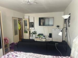 Pronájem bytu 1+1, Plzeň, Manětínská, 40 m2