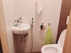 Pronájem bytu 2+1, Frýdlant nad Ostravicí, 5. května, 82 m2