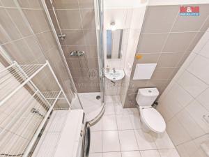 Prodej bytu 1+kk, Hradec Králové - Slezské Předměstí, Severní, 27 m2