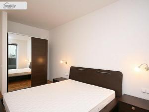 Pronájem bytu 4+kk, Praha - Žižkov, Prokopova, 98 m2