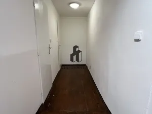Pronájem obchodního prostoru, Praha - Vinohrady, Mánesova, 45 m2