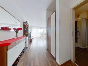 Pronájem bytu 1+kk, Brno, Fantova, 30 m2