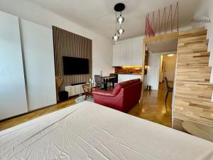 Pronájem bytu 1+kk, Brno, Jugoslávská, 36 m2