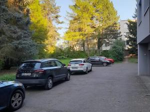 Pronájem garáže, Černošice, Vrážská, 15 m2