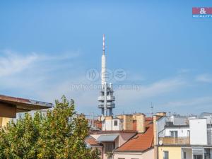 Prodej bytu 2+kk, Praha - Žižkov, Vinohradská, 57 m2