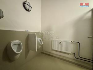 Pronájem kanceláře, Ostrava - Moravská Ostrava, 120 m2