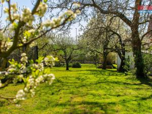 Prodej rodinného domu, Chlumčany, Svatopluka Čecha, 250 m2