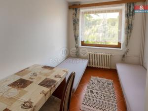 Pronájem bytu 1+kk, Plzeň - Radčice, Jarní, 20 m2