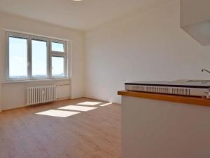 Pronájem bytu 1+kk, Praha - Vinohrady, V Horní Stromce, 24 m2