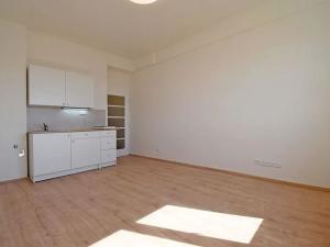 Pronájem bytu 1+kk, Praha - Vinohrady, V Horní Stromce, 24 m2