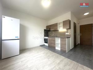 Pronájem bytu 1+1, Chomutov, Písečná, 36 m2