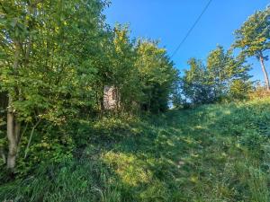 Prodej pozemku pro bydlení, Markvartice, 7465 m2