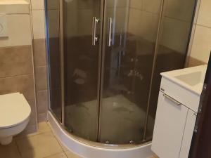 Pronájem bytu 1+kk, Karlovy Vary, Studentská, 55 m2