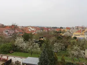 Pronájem bytu 3+1, Prostějov, Plumlovská, 100 m2