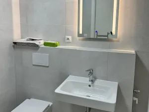 Pronájem bytu 1+kk, Plzeň, Františka Kováříka, 40 m2