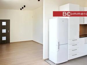 Pronájem bytu 2+kk, Brno, Křenová, 54 m2