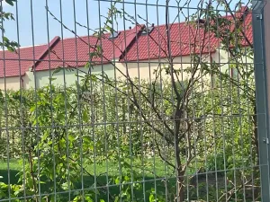 Pronájem rodinného domu, Herink, Krátká, 80 m2