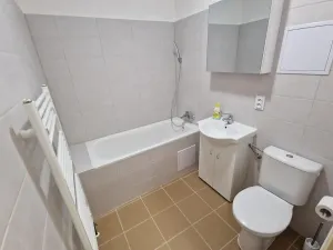Pronájem bytu 1+kk, Neslovice, Školní, 31 m2