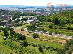 Prodej sadu/vinice, Mikulov, M. Majerové, 1610 m2