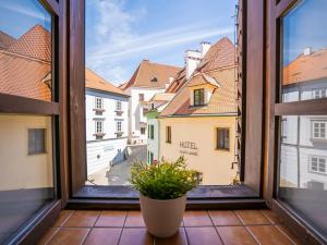 Prodej ubytování, Český Krumlov, Kájovská, 442 m2