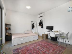Pronájem bytu 1+kk, Brno, Bratislavská, 28 m2