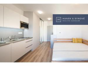 Pronájem bytu 1+kk, Brno, Křenová, 20 m2