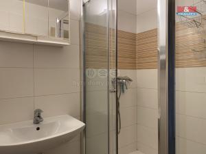 Pronájem bytu 4+kk, Praha - Malá Strana, Zborovská, 114 m2