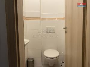 Pronájem bytu 4+kk, Praha - Malá Strana, Zborovská, 114 m2