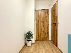 Pronájem bytu 2+kk, Zdounky, Nádražní, 60 m2