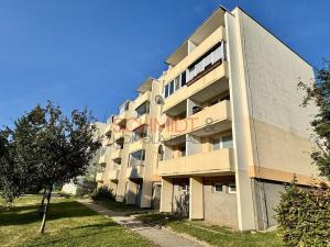 Pronájem bytu 3+kk, Hustopeče, Školní, 51 m2