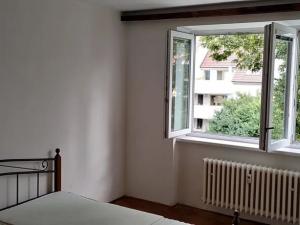 Pronájem bytu 2+1, Brno, Bráfova, 62 m2