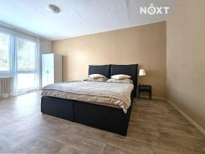 Pronájem bytu 3+1, Přelouč, náměstí 17. listopadu, 81 m2