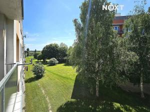 Pronájem bytu 3+1, Přelouč, náměstí 17. listopadu, 81 m2