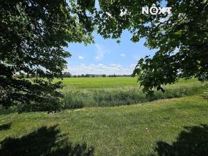 Pronájem bytu 3+1, Přelouč, náměstí 17. listopadu, 81 m2