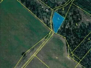 Prodej lesa, Tasov, 625 m2