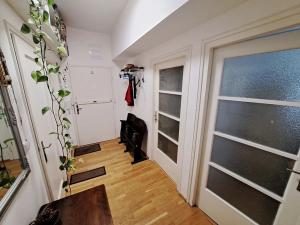 Prodej bytu 3+kk, Brno, Hostinského, 75 m2