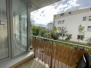 Pronájem bytu 2+kk, Praha - Žižkov, Olgy Havlové, 39 m2