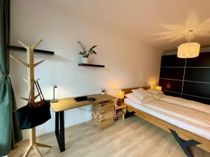 Pronájem bytu 2+kk, Praha - Žižkov, Olgy Havlové, 39 m2