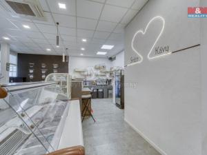 Pronájem obchodního prostoru, Třemošná, Plzeňská, 100 m2