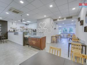 Pronájem obchodního prostoru, Třemošná, Plzeňská, 100 m2