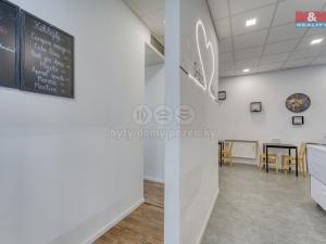 Pronájem obchodního prostoru, Třemošná, Plzeňská, 100 m2